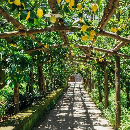 Agriturismo Il Giardino Di Vigliano Massa Lubrense Ngoại thất bức ảnh