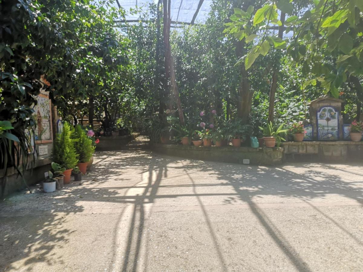 Agriturismo Il Giardino Di Vigliano Massa Lubrense Ngoại thất bức ảnh