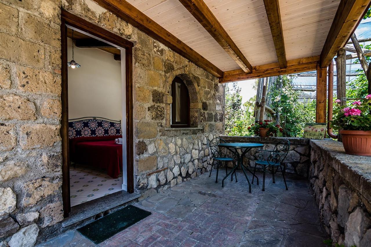 Agriturismo Il Giardino Di Vigliano Massa Lubrense Ngoại thất bức ảnh