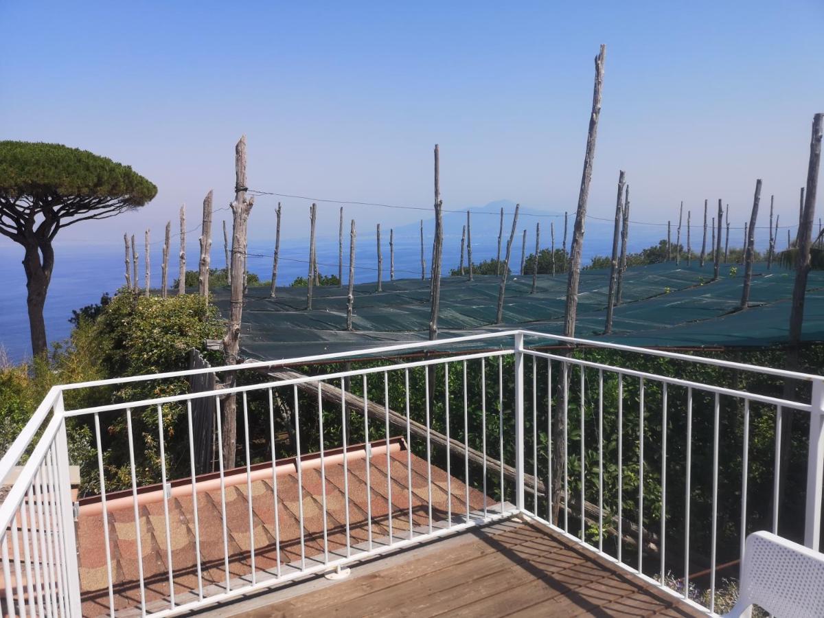 Agriturismo Il Giardino Di Vigliano Massa Lubrense Ngoại thất bức ảnh