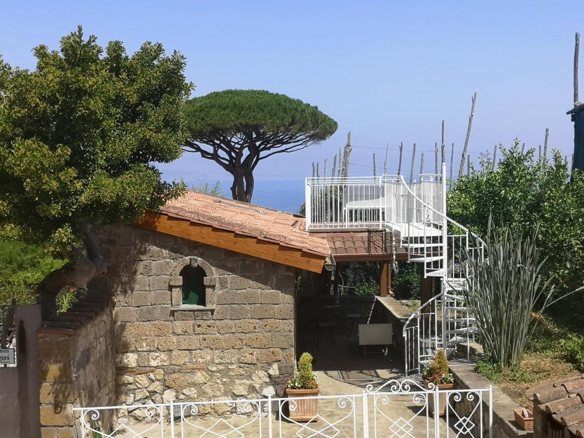 Agriturismo Il Giardino Di Vigliano Massa Lubrense Ngoại thất bức ảnh