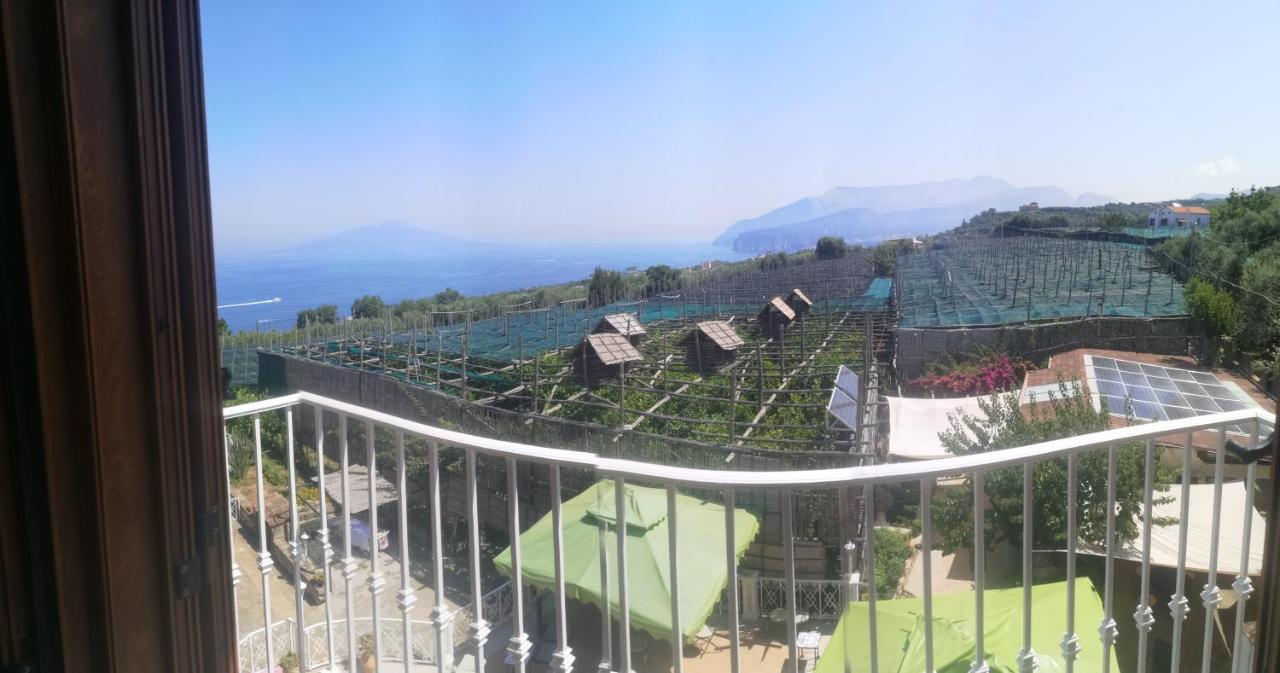 Agriturismo Il Giardino Di Vigliano Massa Lubrense Ngoại thất bức ảnh