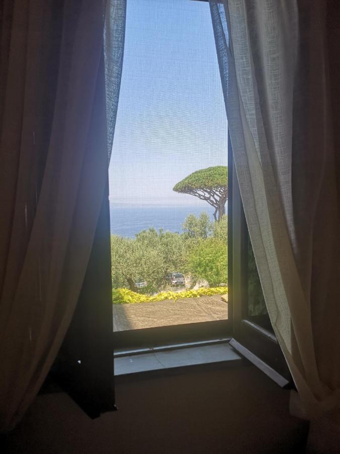 Agriturismo Il Giardino Di Vigliano Massa Lubrense Ngoại thất bức ảnh
