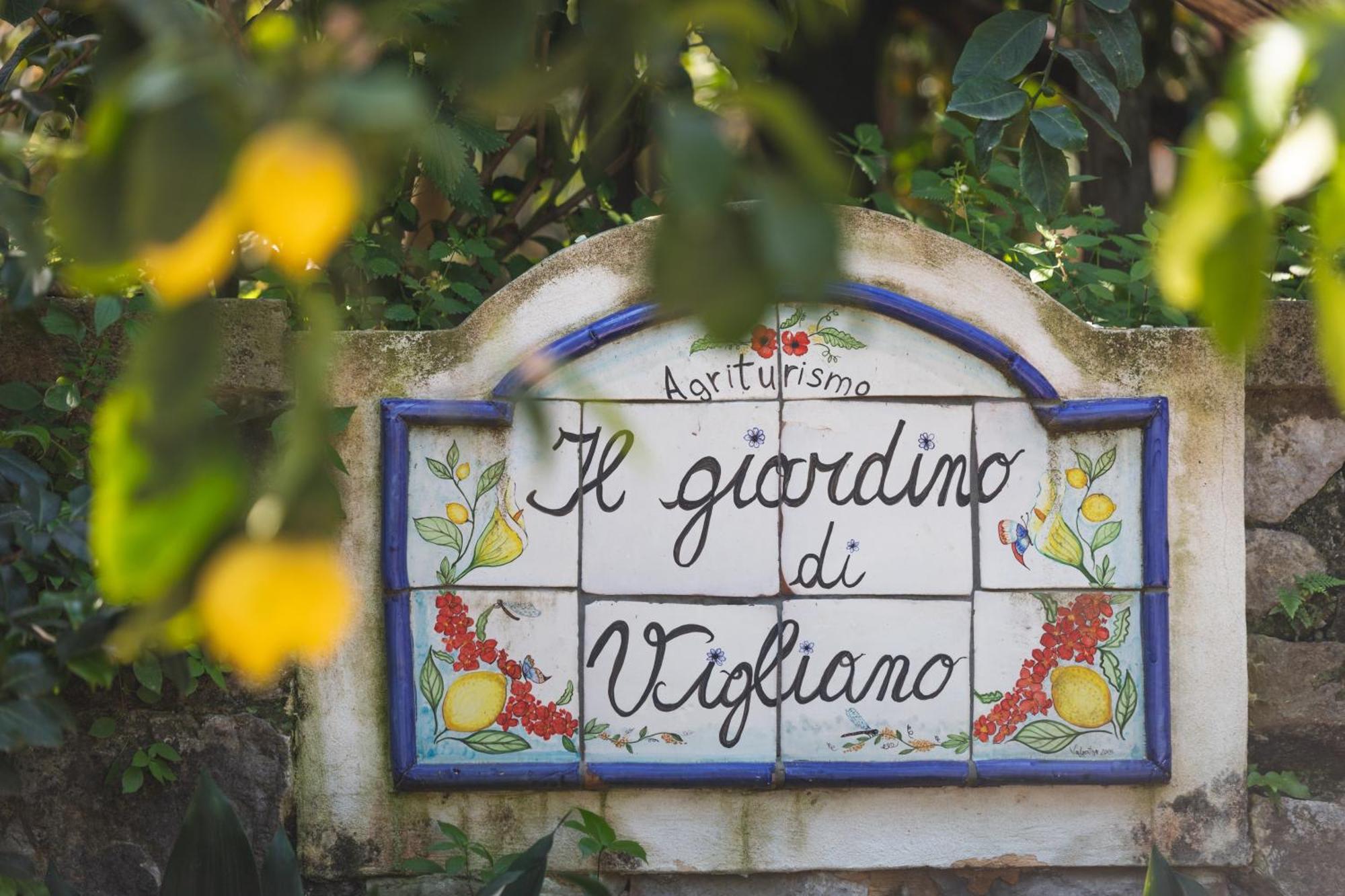 Agriturismo Il Giardino Di Vigliano Massa Lubrense Ngoại thất bức ảnh